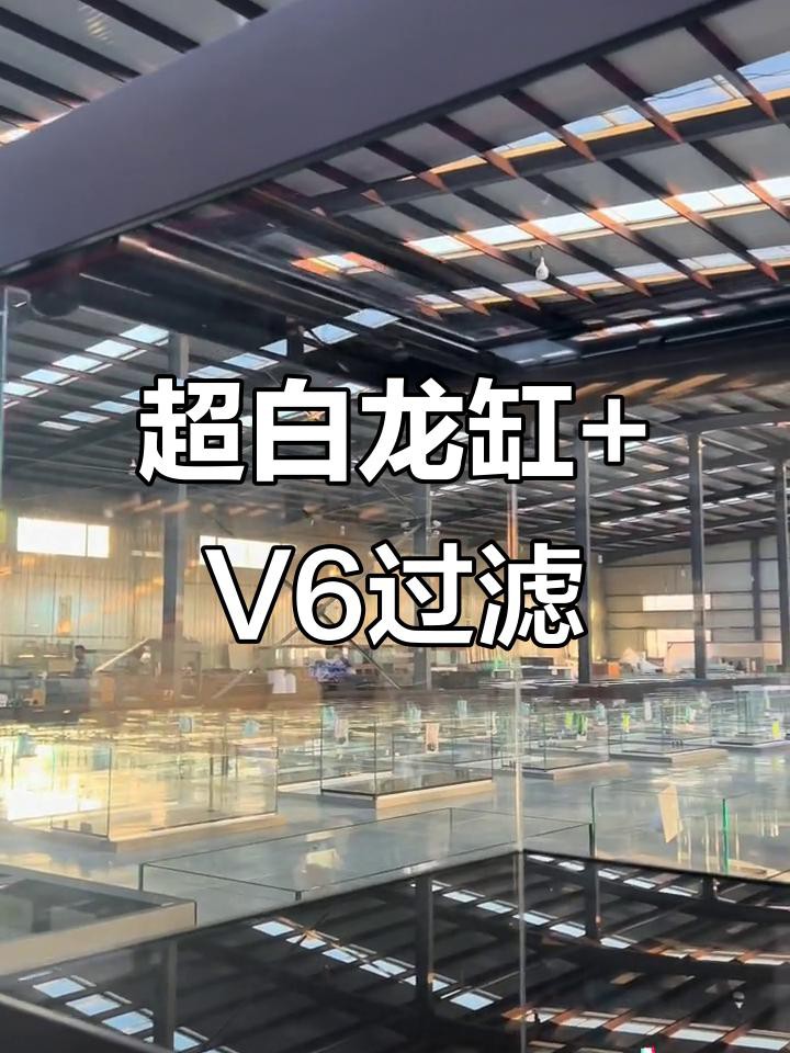 有哪些品牌龍缸配套過(guò)濾系統(tǒng)？