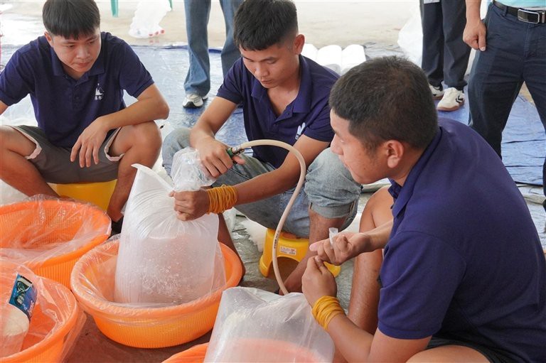 <strong><mark>海南</mark></strong>金龍魚(yú)繁殖基場(chǎng)地址