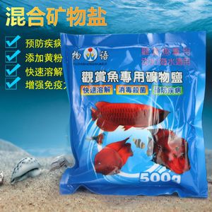 金龍魚眼睛有塊白膜黃粉：金龍魚眼睛出現白膜怎么辦