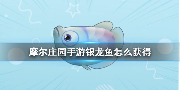 摩爾莊園銀龍魚有什么用