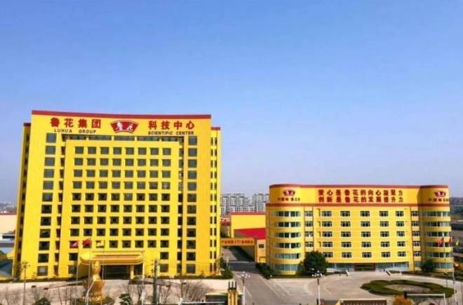 金龍魚調(diào)味品有哪些特色？