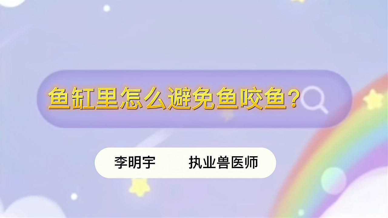 如何預防魚被咬傷？ 如何預防魚被咬傷？ 龍魚百科 第1張