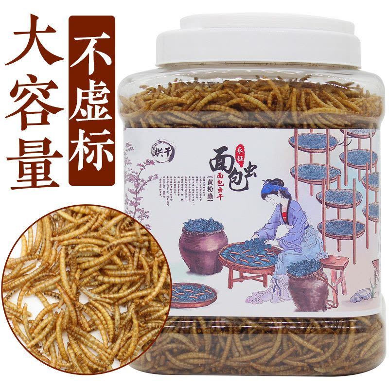 銀龍魚能用黃粉嗎：銀龍魚使用黃粉對魚類具體危害，水族箱水質維護技巧