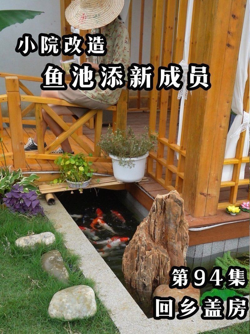 霸氣龍魚圖片