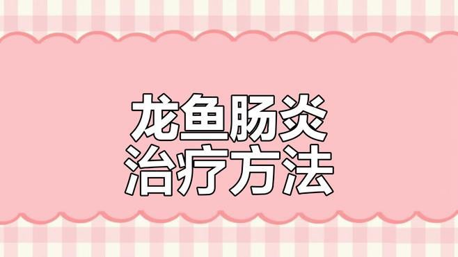 金龍魚腸炎會自愈嗎？