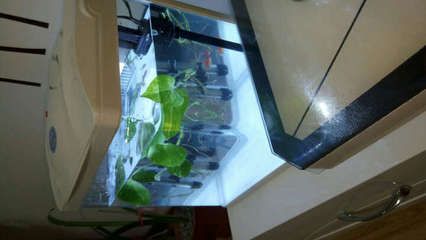 魚(yú)缸哪個(gè)品牌質(zhì)量最好 知乎，佳寶jebo水族器材特色日生resun水族用品全球銷(xiāo)量