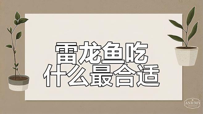 七彩雷龍魚可以喂哪些食物？