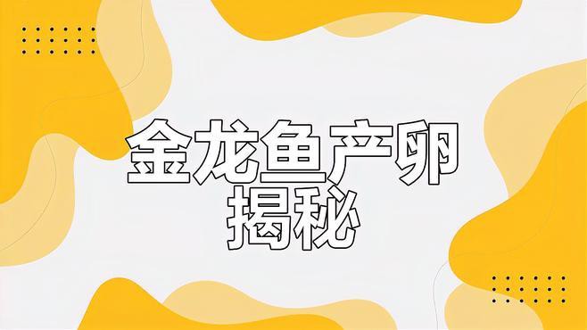 金龍魚怎么孵化