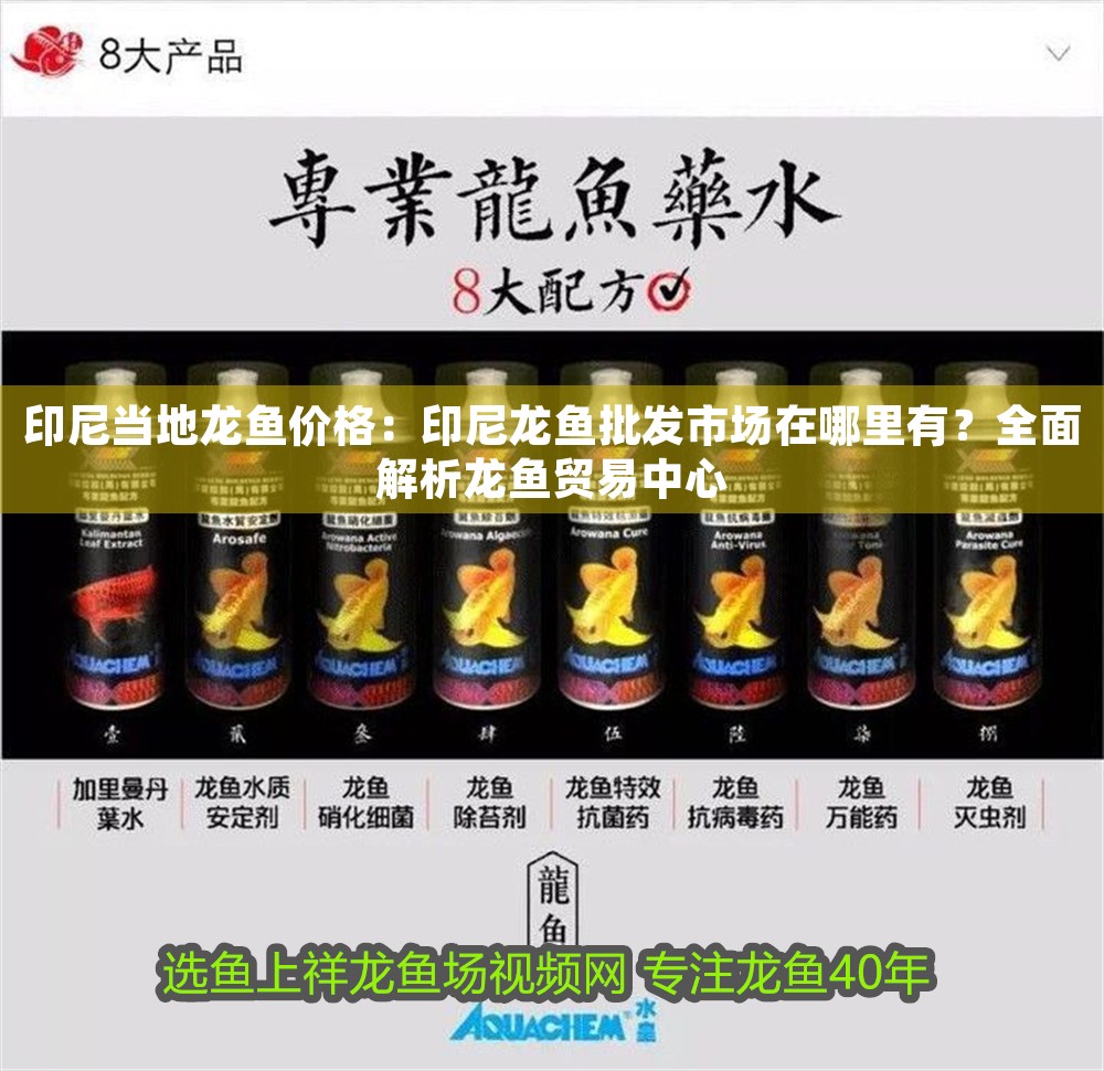 印尼當(dāng)?shù)佚堲~價(jià)格：印尼龍魚批發(fā)市場(chǎng)在哪里有？全面解析龍魚貿(mào)易中心
