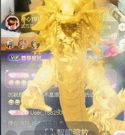 快手上刷一條金龍多少錢
