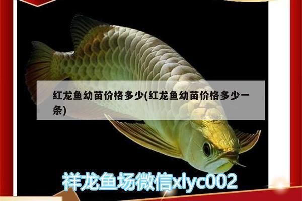 上門維修魚缸電話 24小時報修熱線多少