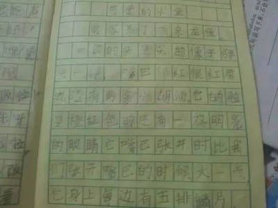 我龍魚怎么寫作文：龍魚怎么寫作文