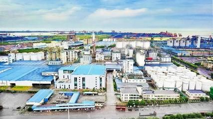 防城港金龍魚批發市場：防城港地區的金龍魚批發市場主要集中在水產市場和一些專門的漁場