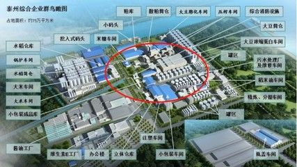 防城港金龍魚批發市場：防城港地區的金龍魚批發市場主要集中在水產市場和一些專門的漁場