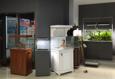 水族館加盟找祥龍魚場（水族館加盟_加盟需要多少錢水族館加盟費查詢網(wǎng)）