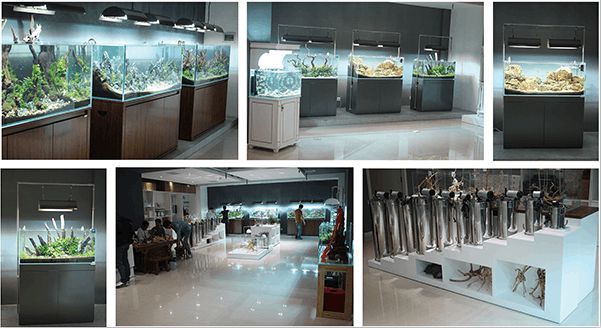 水族館加盟找祥龍魚場（水族館加盟_加盟需要多少錢水族館加盟費查詢網(wǎng)）