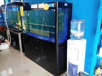 水族館加盟找祥龍魚場（水族館加盟_加盟需要多少錢水族館加盟費查詢網(wǎng)）