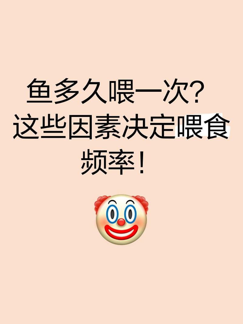 金龍魚繁殖期如何喂養？