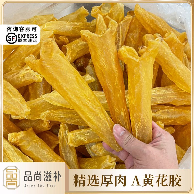 正宗金龍魚膠圖片高清大圖