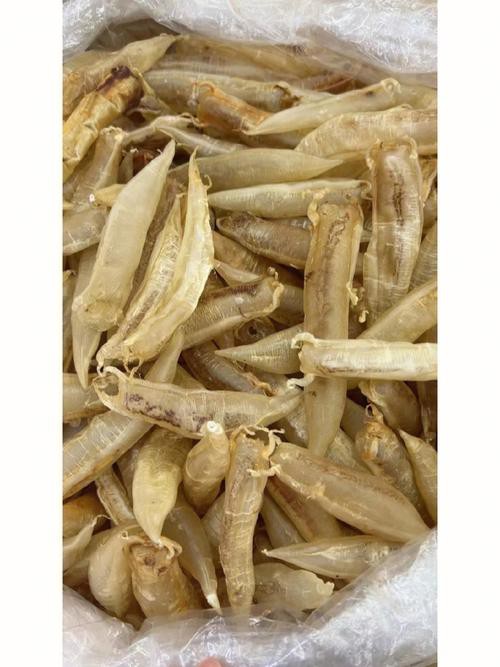 正宗金龍魚膠圖片高清大圖