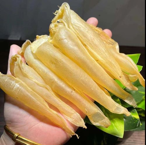 正宗金龍魚膠圖片高清大圖