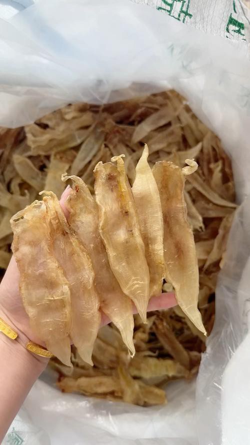 正宗金龍魚膠圖片高清大圖