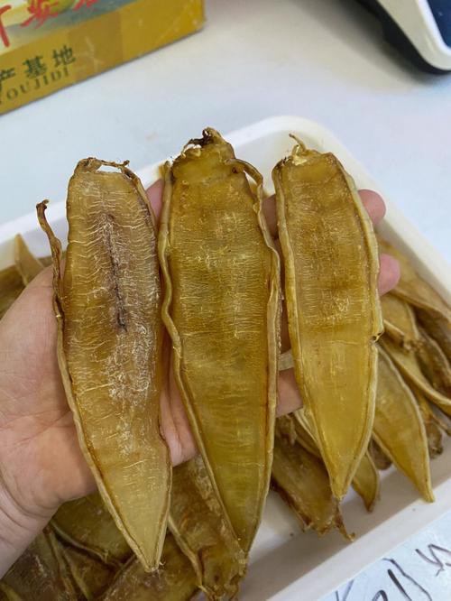 正宗金龍魚膠圖片高清大圖