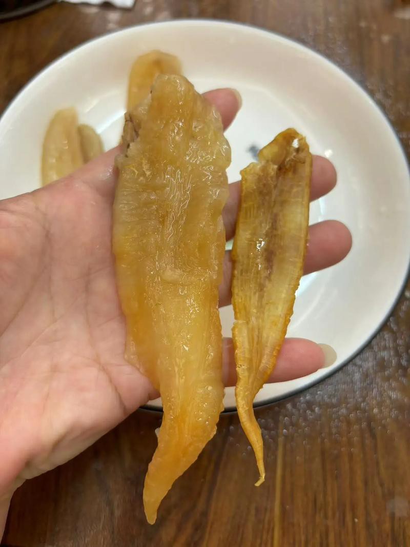 正宗金龍魚膠圖片高清大圖