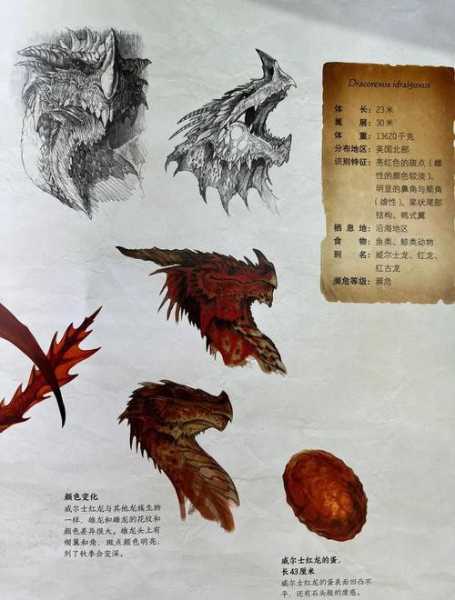 能給出更多紅龍角色設(shè)計(jì)案例嗎？
