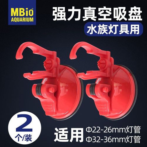 有哪些適合銀龍魚的魚缸裝飾