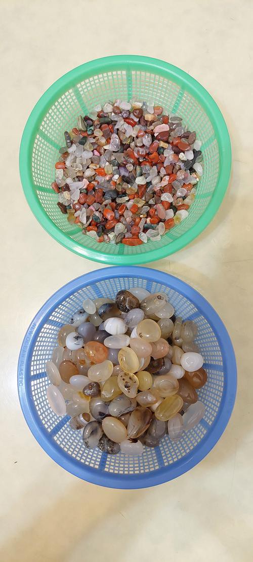 有哪些適合銀龍魚的魚缸裝飾