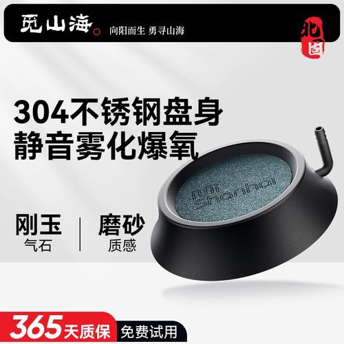 有哪些適合銀龍魚的魚缸裝飾