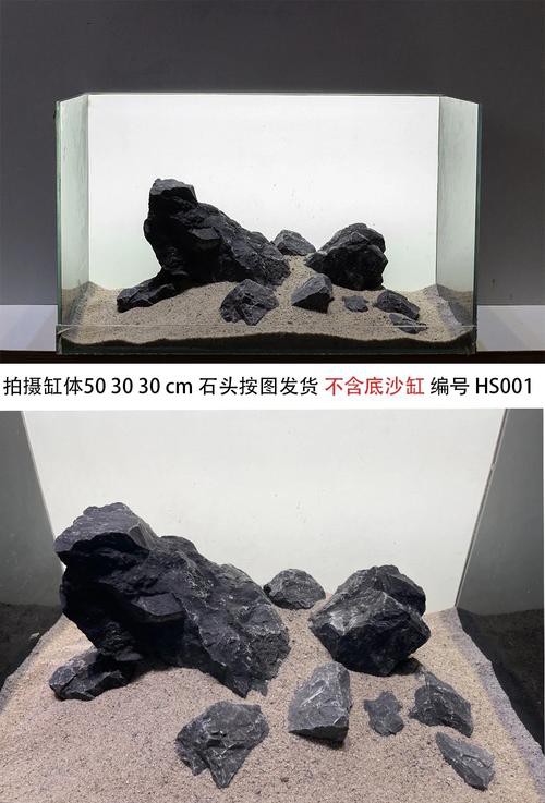 有哪些適合銀龍魚的魚缸裝飾