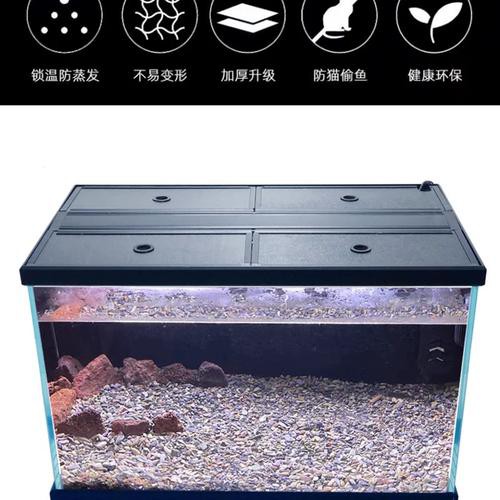 有哪些適合銀龍魚的魚缸裝飾