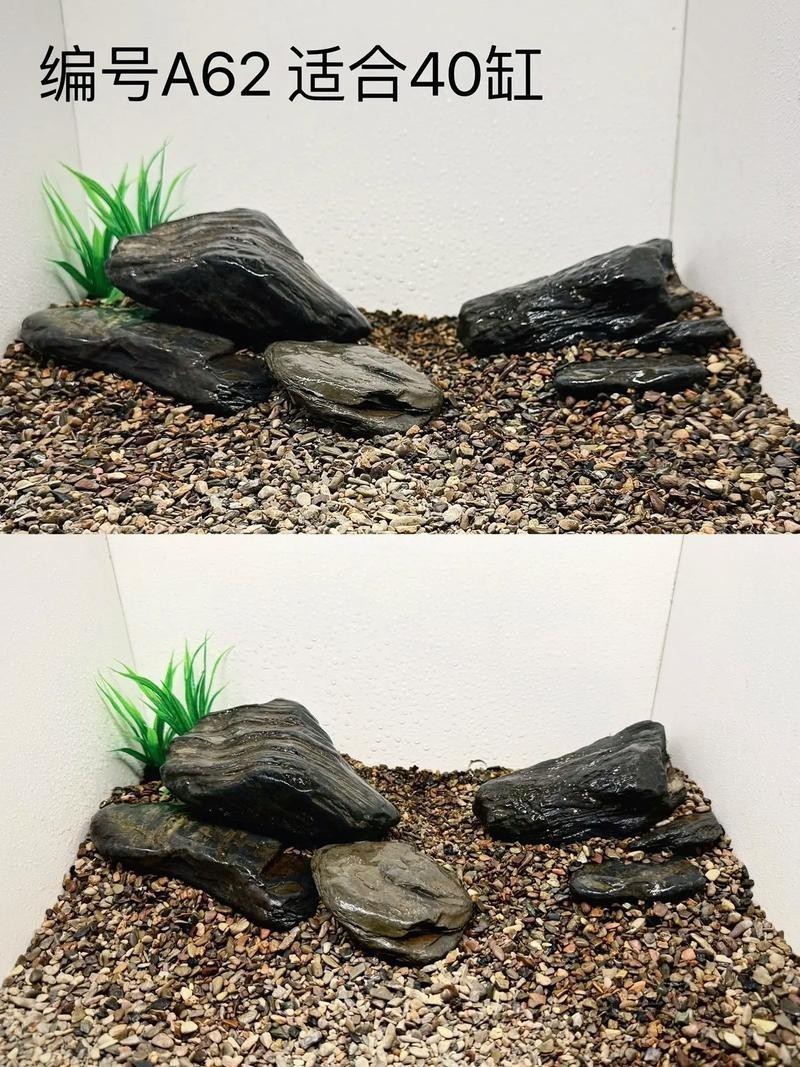 有哪些適合銀龍魚的魚缸裝飾