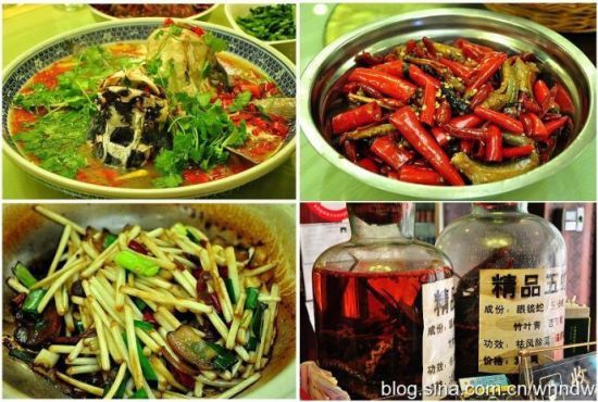 湘潭九龍魚頭店新聞報道