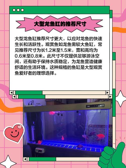 新手適合養(yǎng)幾條龍魚？ 新手適合養(yǎng)幾條龍魚？ 龍魚百科 第7張