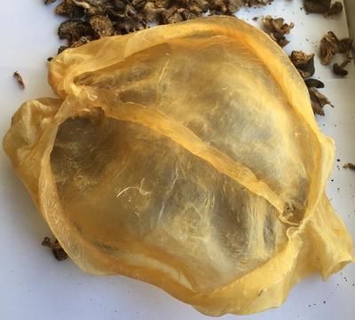 金龍魚膠有幾種（如何辨別金龍魚膠的質(zhì)量，金龍魚膠的保存技巧）