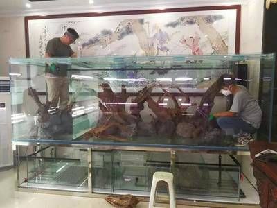火山石對龍魚養殖的影響：養龍魚的魚缸中放置火山石對龍魚養殖有多重好處