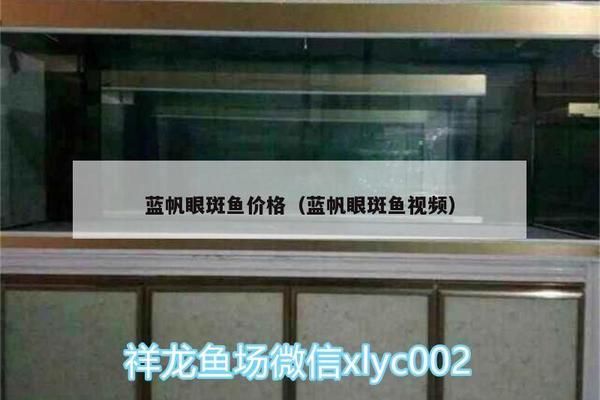 藍帆眼斑和龍魚混養，藍帆眼斑和龍魚混養是否合適，取決于幾個關鍵因素