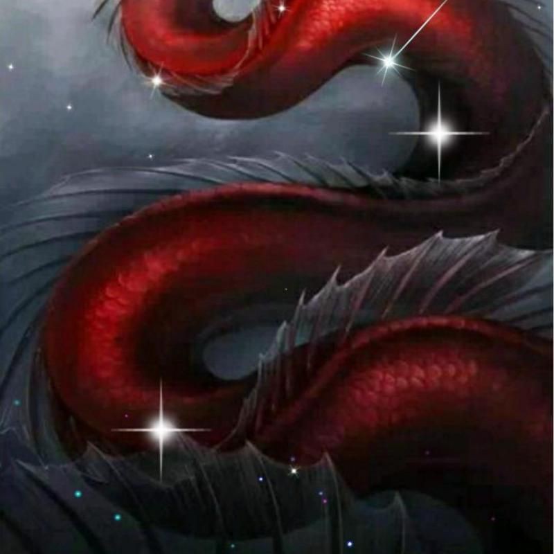 買赤龍的十大忠告