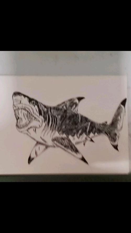 恐龍魚簡筆畫圖片大全