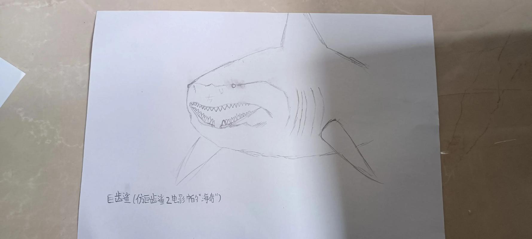 恐龍魚簡筆畫圖片大全