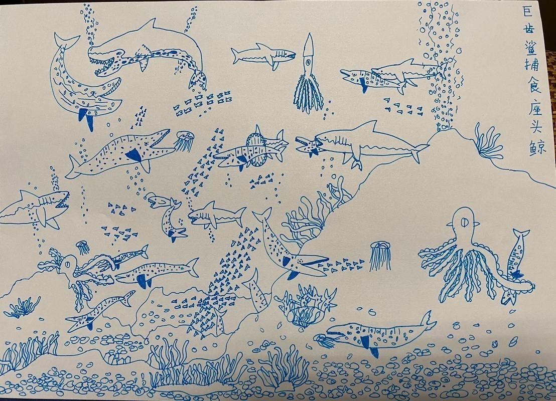 恐龍魚簡筆畫圖片大全