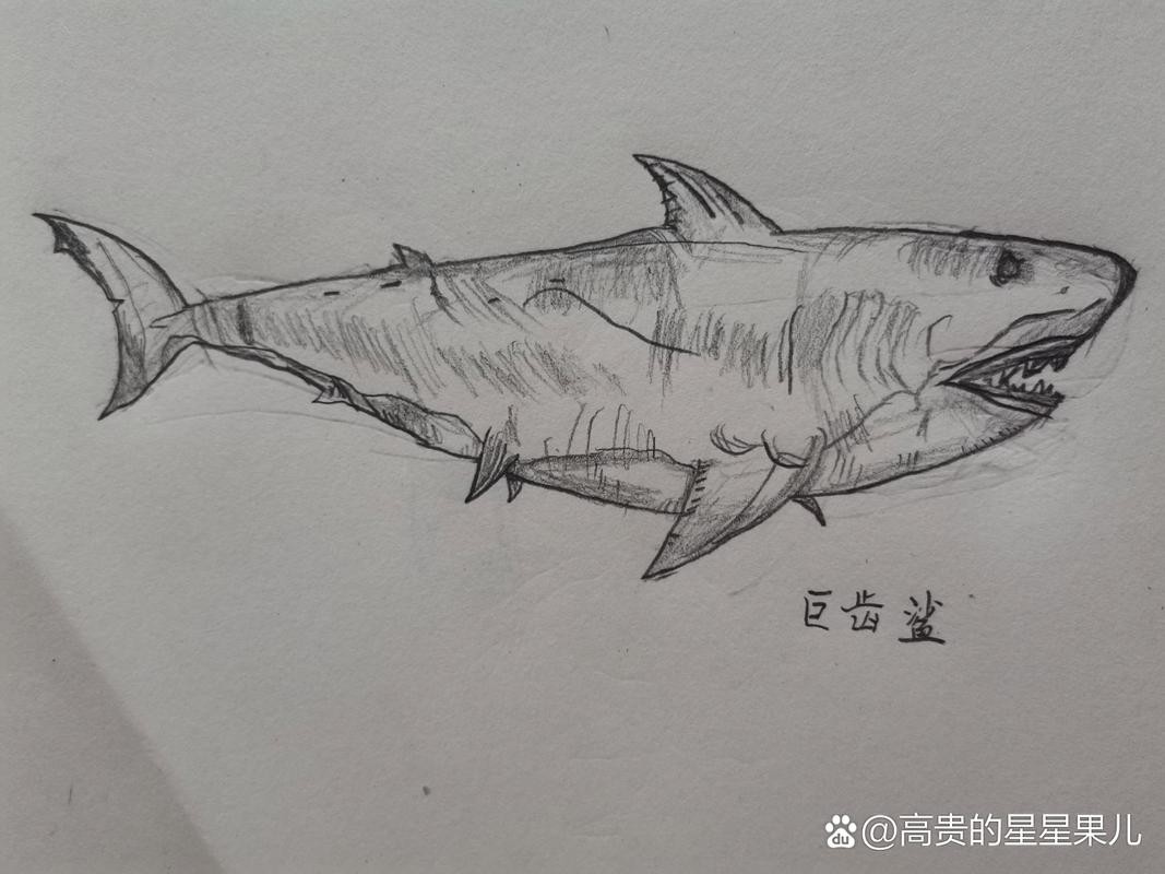 恐龍魚簡筆畫圖片大全
