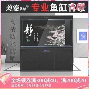 紅龍魚缸背景圖選擇什么顏色（養(yǎng)紅龍魚時背景顏色的選擇是一個需要注意的問題）