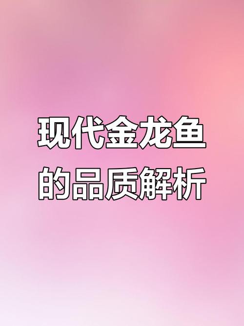金龍魚等級區分有哪些圖解？