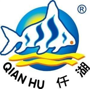 養(yǎng)龍魚(yú)需要加熱棒嗎：養(yǎng)龍魚(yú)水溫低于29攝氏度之間，加熱棒需要注意哪些方面