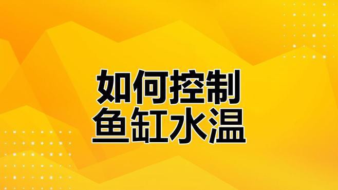 紅龍魚發色期如何調整水溫？