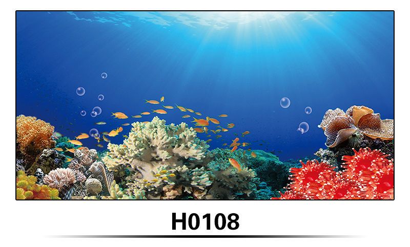 紅龍魚缸背景顏色（養(yǎng)紅龍魚用什么顏色底板和背景色）